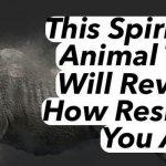 Quiz: How Resilient You Are with? Spirit Animal Test
