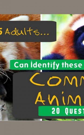 Quiz: Only 1 In 10 Adults Can Still Name All These Common Animals