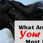 Quiz: What Animal Is Your Man Most Like?