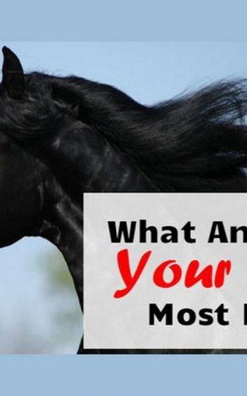 Quiz: What Animal Is Your Man Most Like?