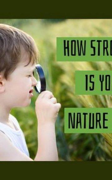 Quiz: Is my Nature Knowledge Strong?