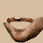 Quiz: Guess Which Celebrity These Mustaches And Beards Belong To