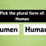 Quiz: No one scored 20/20 In This Tricky Plural Forms Test