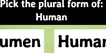 Quiz: No one scored 20/20 In This Tricky Plural Forms Test