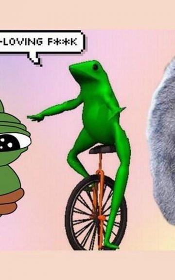 Quiz: We Know Your Internet IQ Based On Your Meme Knowledge