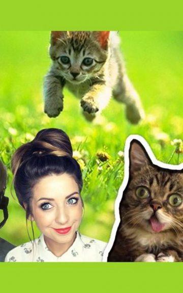 Quiz: We Guess Your Favourite YouTuber Based On Your Favourite Cat