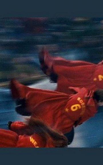 Quiz: Which Professional Quidditch Team Should I Play For?