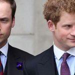 Quiz: Am I Prince Harry or Prince William?