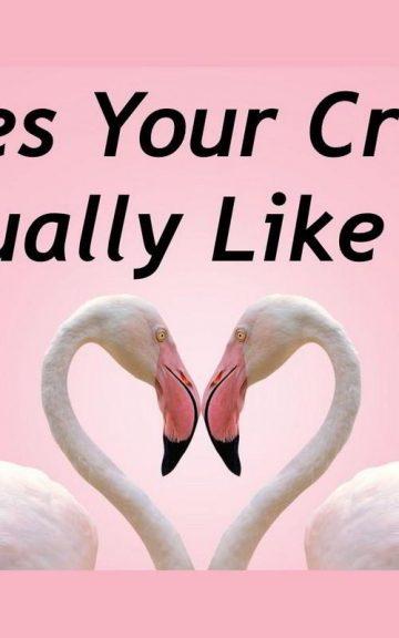 Quiz: We'll Tell Whether Or Not Your Crush Actually Likes You