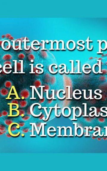 Quiz: 92% Of Adults Still Can't Pass A High School Biology Test - Can You?