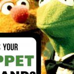 Quiz: Who Is my Muppet Husband?