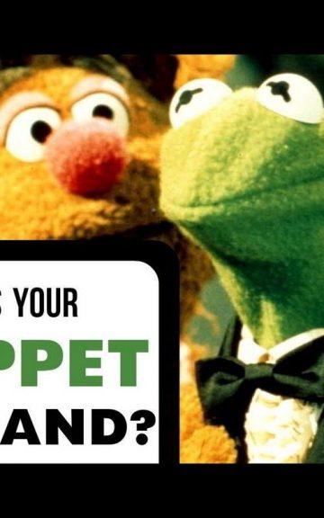 Quiz: Who Is my Muppet Husband?
