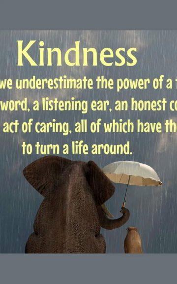 Quiz: What Act Of Kindness Are You Most Likely To Do According To Your Personality?