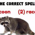 Quiz: This Spelling Test Is Driving The Internet Wild