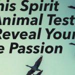 Quiz: We'll Reveal Your True Passion with this Spirit Animal Test