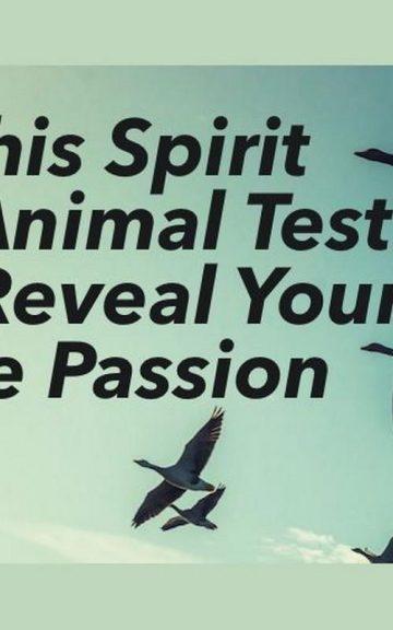Quiz: We'll Reveal Your True Passion with this Spirit Animal Test