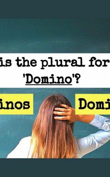 Quiz: Only 9% Of English Teachers Know The Plural Forms Of The Most Confusing 18 Words. Do You?