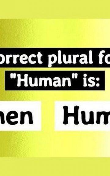 Quiz: This Elementary Plural Forms Test Is Driving The Internet Crazy