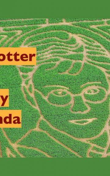 Quiz: Which Harry Potter Parody Is Exactly my Kinda Humor?