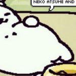 Quiz: Which Neko Atsume Cat Is my Spirit Animal?