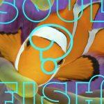 Quiz: What Is my SoulFish?