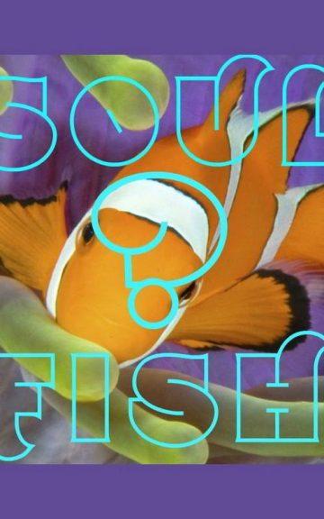 Quiz: What Is my SoulFish?