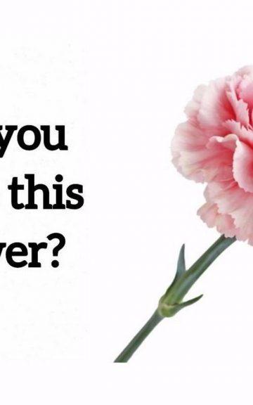 Quiz: You Can't Name These 20 Most Common Flowers Just By Looking At Them