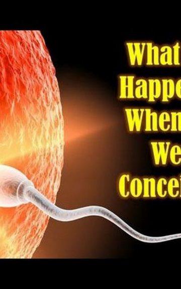 Quiz: What Was Happening When You Were Conceived?