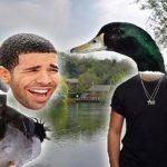 Quiz: Who says that: Drake or A Drake?