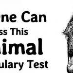 Quiz: Pass The Trickiest Animal Vocabulary Test