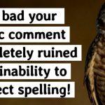 Quiz: You can't Spell The 17 Most Confusing Words Without A Spell-Checker