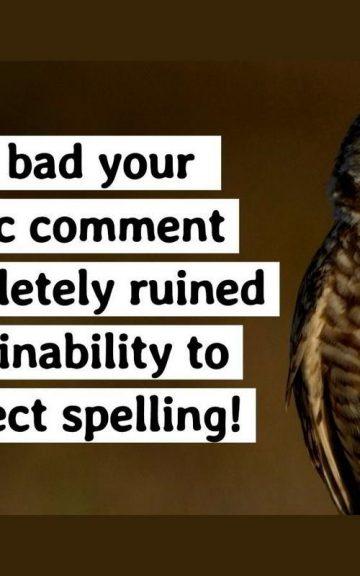 Quiz: You can't Spell The 17 Most Confusing Words Without A Spell-Checker