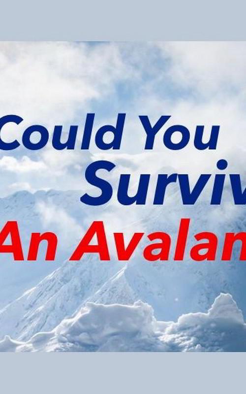 Can You Outsmart an Avalanche?