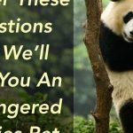 Quiz: We'll Give You An Endangered Species Pet