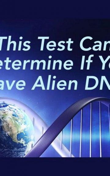 Quiz: We'll Determine If You Have Alien DNA