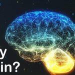 Quiz: Check if your Brain Chemistry is Healthy