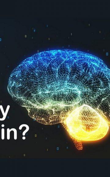 Quiz: Check if your Brain Chemistry is Healthy