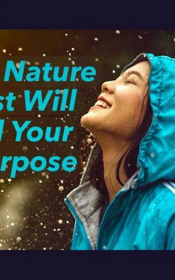 Quiz: The Nature Test Reveals Your True Purpose