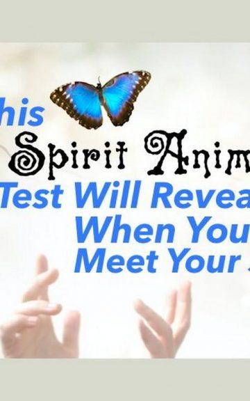 Quiz: We'll Reveal When You We'll Meet Your Soulmate with this Spirit Animal Test