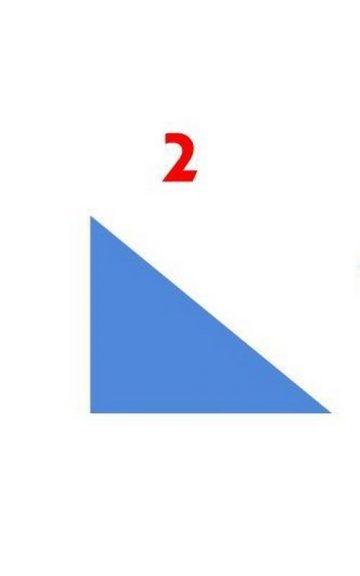 Quiz: Pass The Basic Shapes Test