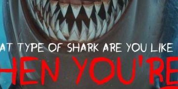 Quiz: What kind Of Shark am I Like When You're Angry?