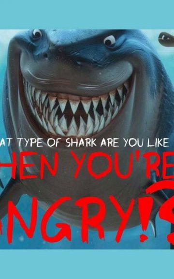 Quiz: What kind Of Shark am I Like When You're Angry?
