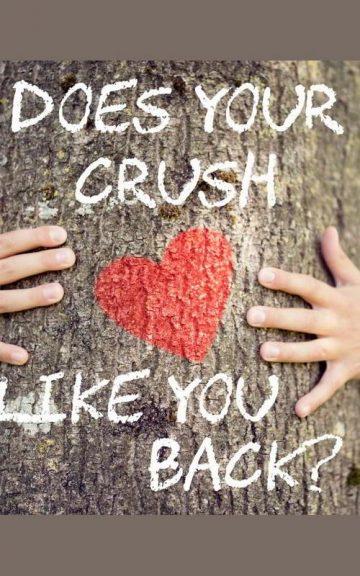 Quiz: Does Your Crush Like You Back? Take This Quiz and Find Out