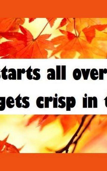 Quiz: We Guess Your Favorite Thing About Fall