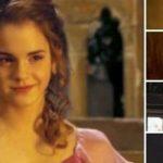 Quiz: Which Harry Potter Girl Embodies my Christmas Spirit?