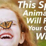 Quiz: We'll Reveal Your Childhood Wish with this Spirit Animal Test