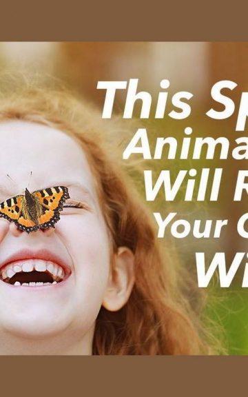 Quiz: We'll Reveal Your Childhood Wish with this Spirit Animal Test