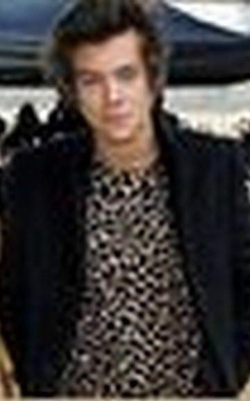 Quiz: Who Wore This: A Leopard Or Harry Styles?