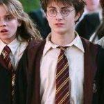 Quiz: What Do You Know About Gryffindor House?