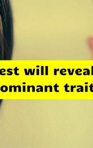 Quiz: Find Out What Your 5 Dominant Traits Are